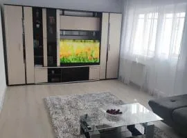 Cozy Residence Sibiu