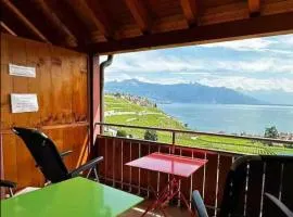 Lavaux nice place in Swiss French part
