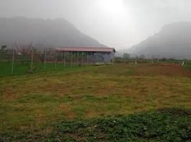 Unique Farm in Paleomonastiro