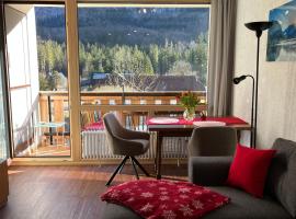 Apartment Elisabeth, hotel a Obertraun