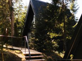 ZlatAir Black Boutique Chalets, hotel in Nova Varoš