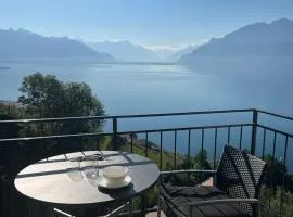 The Nest Lavaux