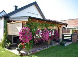 Apartments with parking spaces Valpovo, Slavonija - 24020