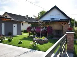 Apartments with parking space Valpovo, Slavonija - 24020