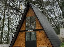 Casatorni