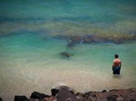 Yonegan Central Maui Getaways, apartamento em Wailuku