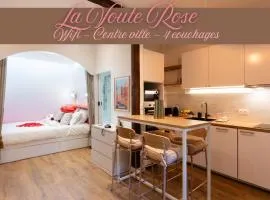 Studio Toulouse Capitole La Voute Rose