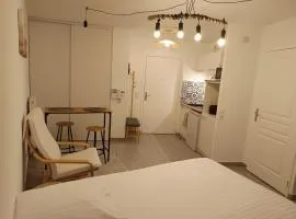 Villa'vi Lyon Est Chambres d'Hôtes