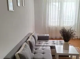 Surčin Apartment