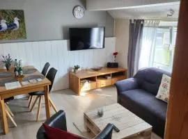Möwennest