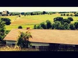 Country house - Slapy/Pazderny
