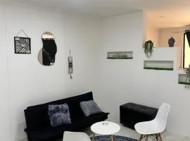 Espectacular Aparta Estudio