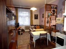 Flat in the heart of Decin close to via ferrata