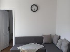Сјајни лешник, hotel v destinaci Zrenjanin