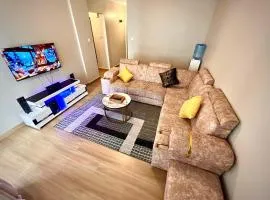 Romish Luxury Homes