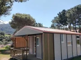 Camping TIKITI