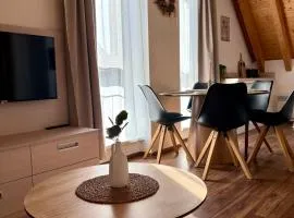Apartmán NIKI Apollon Resort Lednice