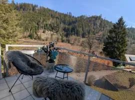 Apartment im Schwarzwald -Natur, Kamin & WLAN, Nähe Baiersbronn