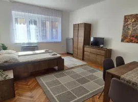 Downtown Studio Apartman