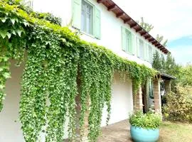 TerraVino Retreat at Lake Balaton