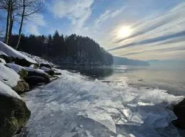 Tresna Dream