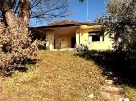CÀ DEGLI OLIVI - Villino tra gli Olivi nel Borgo