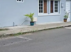 Amandier