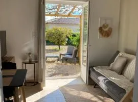 Studio dans les pins