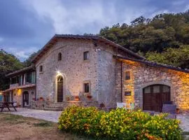 Agriturismo il Vignale