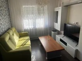 Newly renovated chic apartment close to downtown