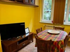 Oborishte Family Elegance with Garden View