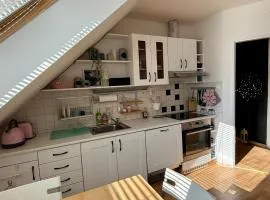 Apartmán Nová Bystřice