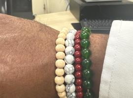 Private guest house, hotel in Bradenton