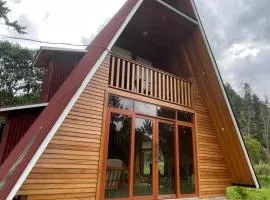 Cabaña Alpina Yanesh Haus