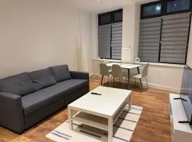 Stylish modern apartment