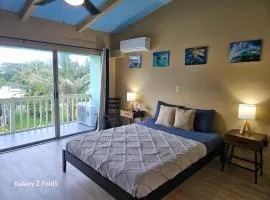 Yonegan Plumeria Hilo Hotel