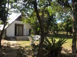 Balili Farm At Nacpan Free Motorbike Free Drop Off Free Pick up to town