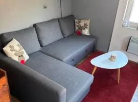 APARTMENT OWL