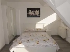 1-room apartment in Offenbach