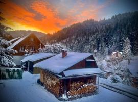 Mountain View Tiny House, mini casa em Lacul Roșu