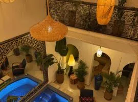 RIAD JULILU PRIVATISE