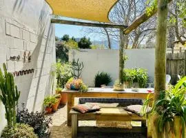 Agapanthus garden cottage