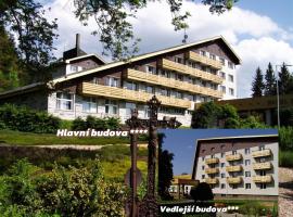 Hotel Srní, hotel v Srní