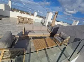 Apartment with roof terrace south