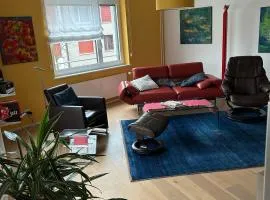 ESC-Basel-Flat - Whole rent to save our MUSICAL THEATER BASEL