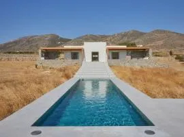 Elegant Paros Villa with Seaview