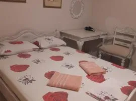 Antonioy Apartment Metewra
