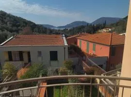 Oasi Verde 4