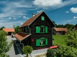 Šušnjari100