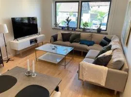 Cozy apartment near Copenhagen